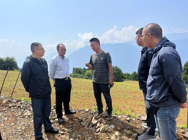 AG真人助力乡村全面振兴专家团队深入牛角湾镇开展中药材种植指导